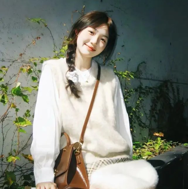 鸳鸯袖里握兵符